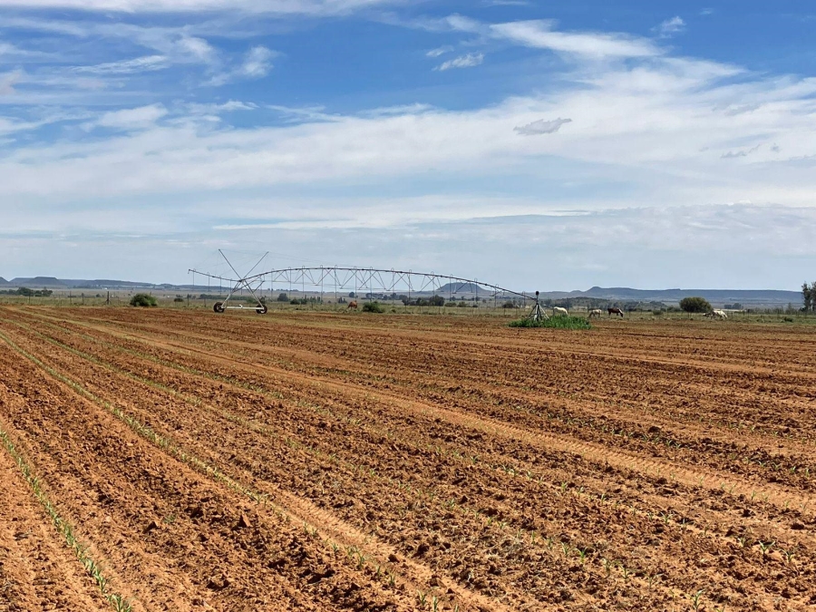 3 Bedroom Property for Sale in Bloemfontein Rural Free State